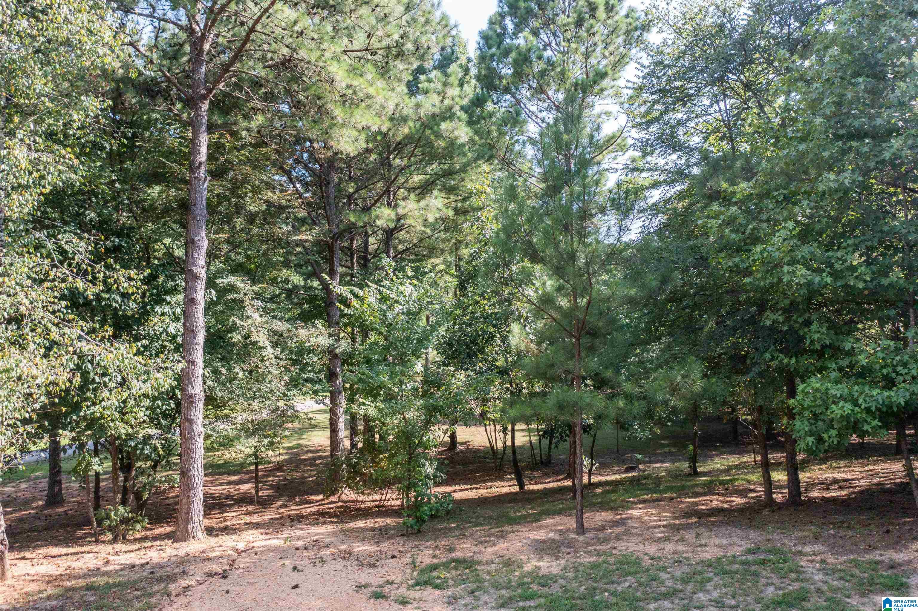 1961 Dripping Rock Road Piedmont, AL 36272 - Photo 45 of 47