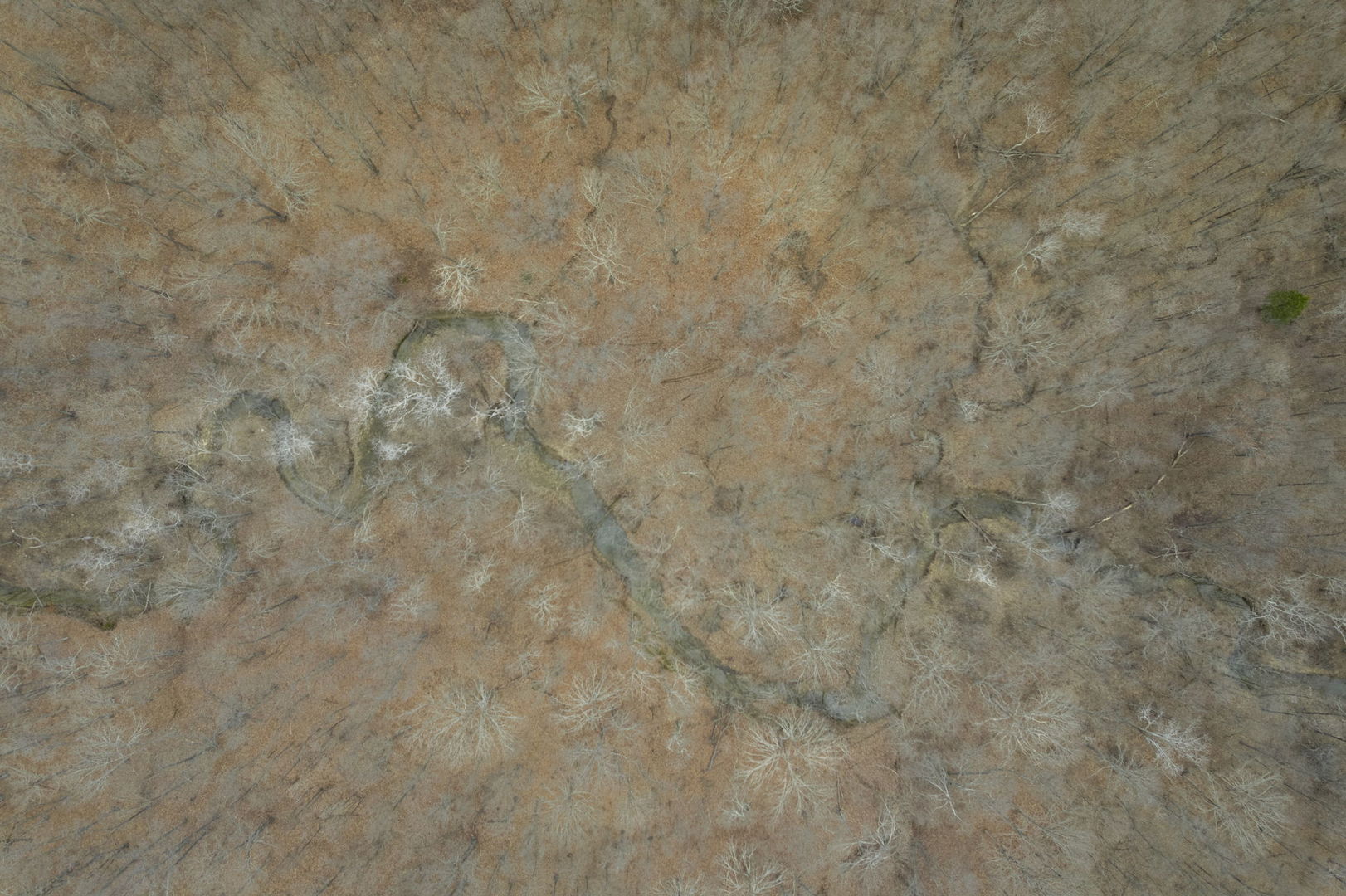 7198 Omega Road Kinmundy, IL 62854 - Photo 23 of 95