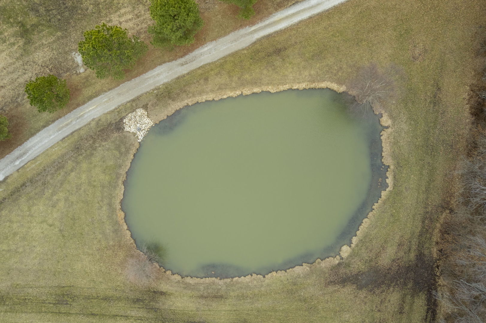 7198 Omega Road Kinmundy, IL 62854 - Photo 24 of 95