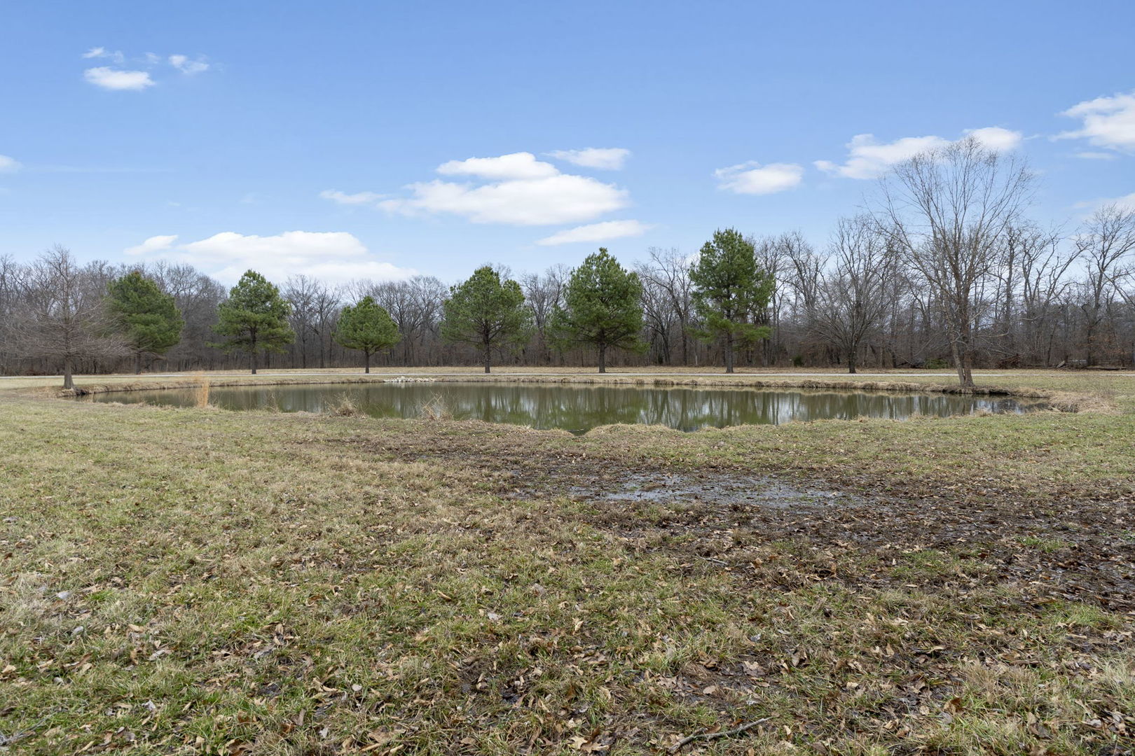 7198 Omega Road Kinmundy, IL 62854 - Photo 25 of 95