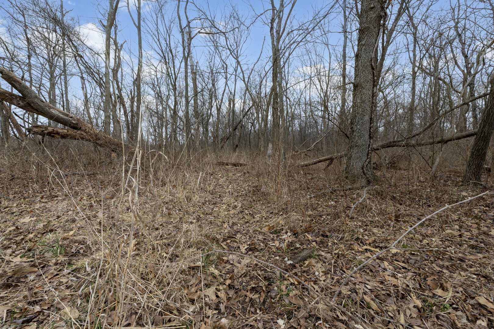 7198 Omega Road Kinmundy, IL 62854 - Photo 46 of 95