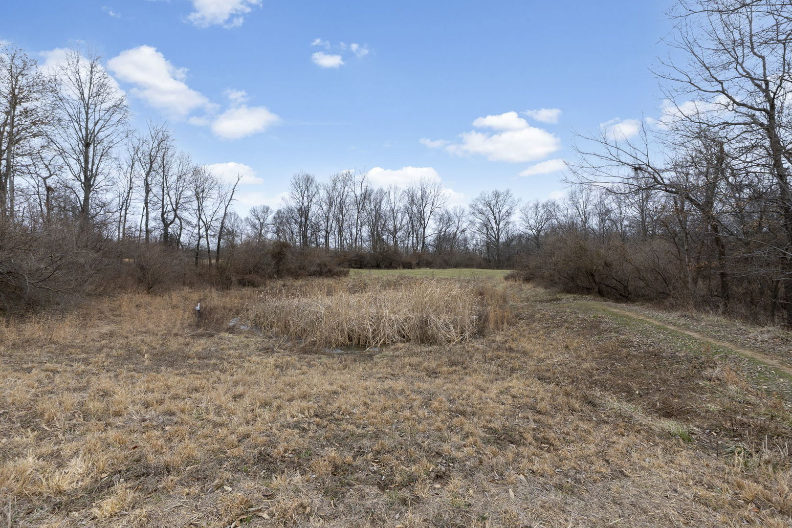 7198 Omega Road Kinmundy, IL 62854 - Photo 47 of 95 a view of a dry yard with trees