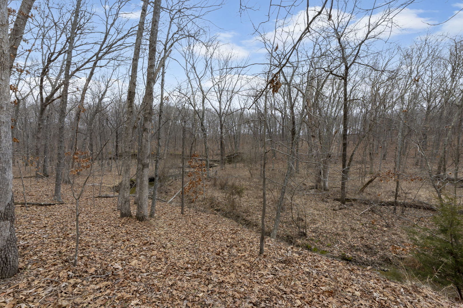 7198 Omega Road Kinmundy, IL 62854 - Photo 49 of 95 a backyard of a house with lots of green space