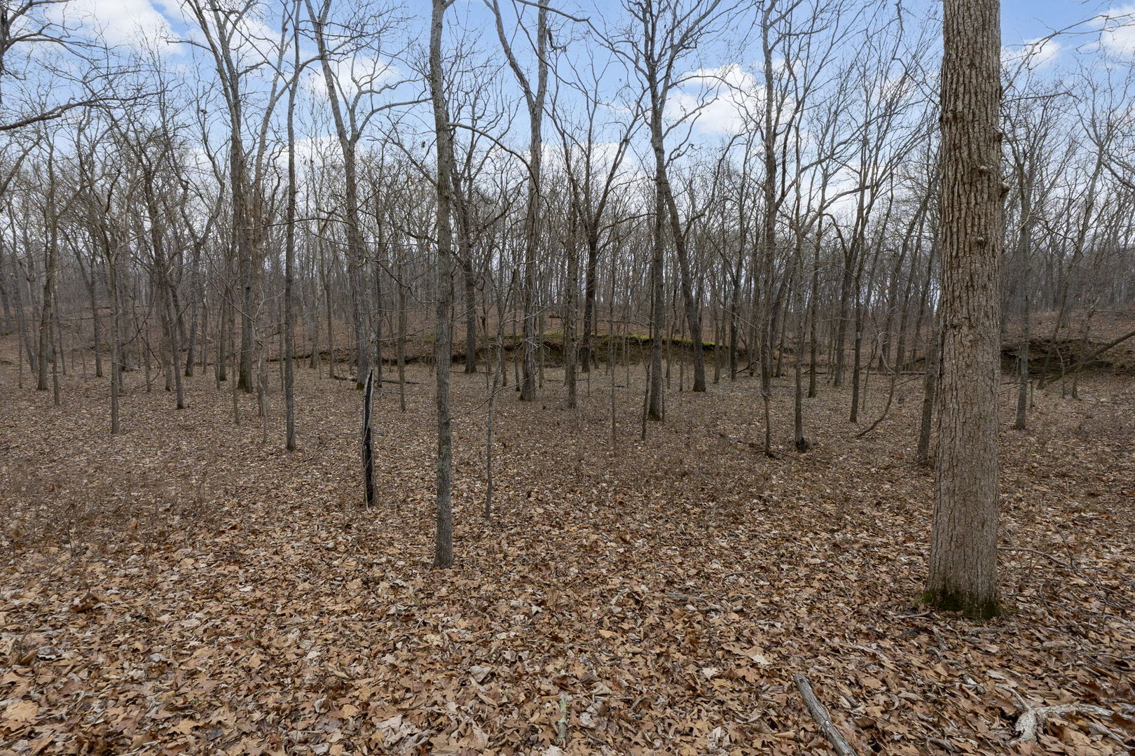 7198 Omega Road Kinmundy, IL 62854 - Photo 51 of 95