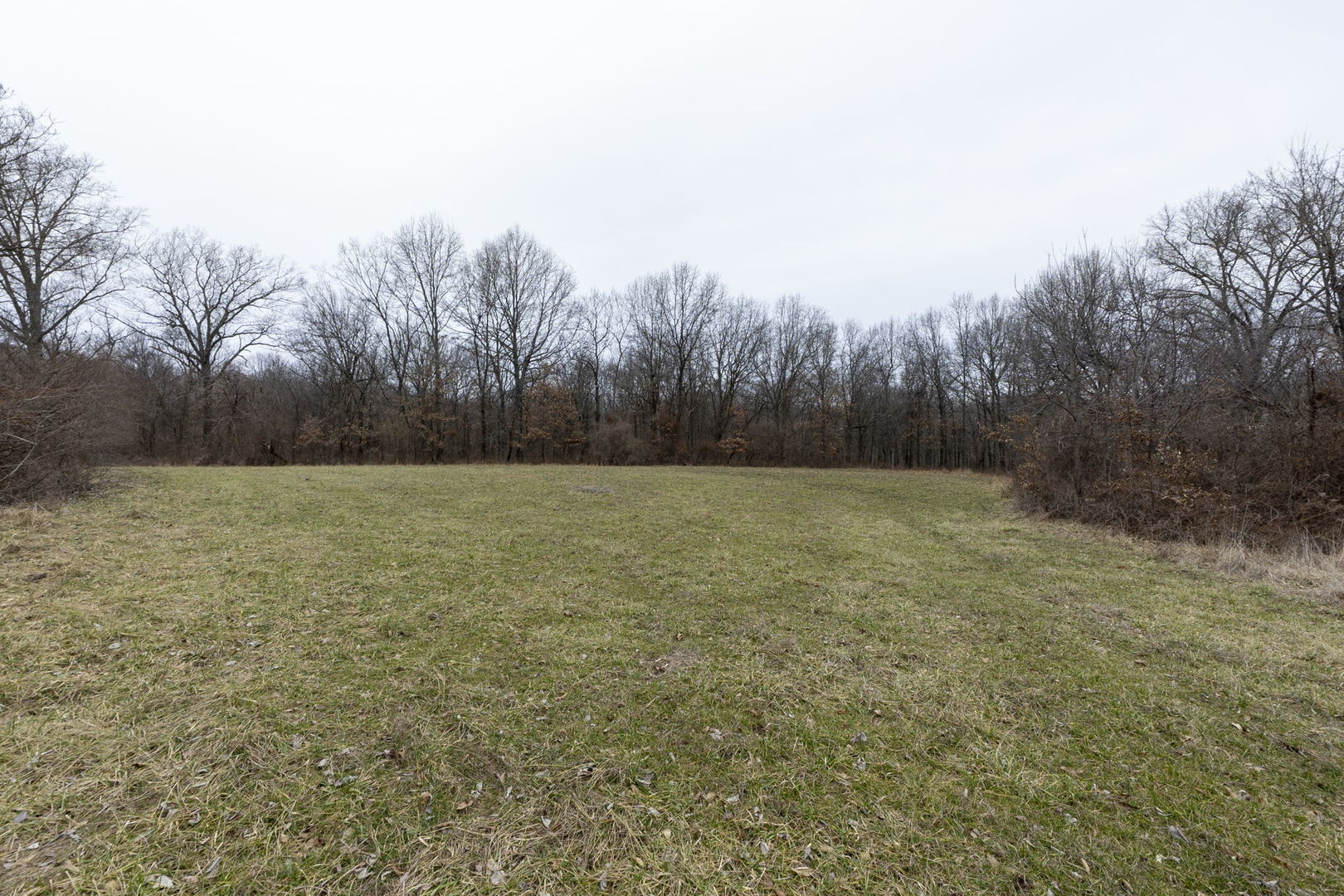 7198 Omega Road Kinmundy, IL 62854 - Photo 56 of 95 a view of a yard with a trees
