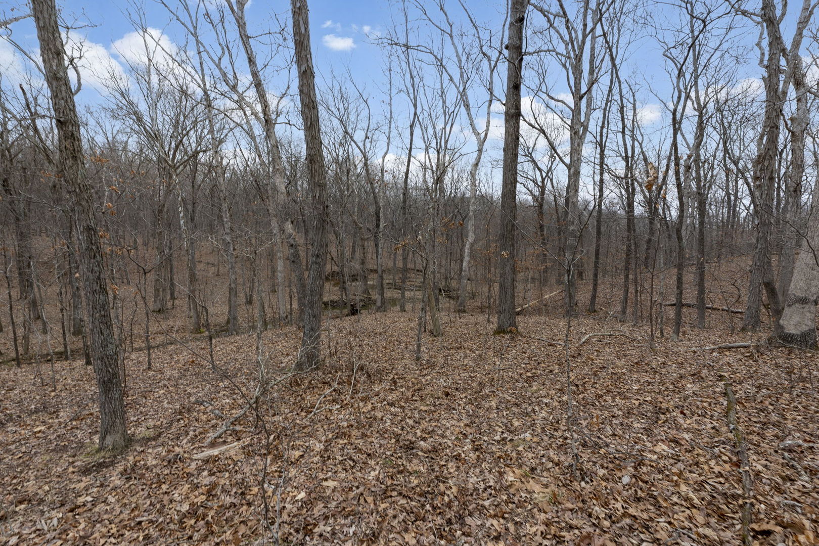 7198 Omega Road Kinmundy, IL 62854 - Photo 57 of 95 a backyard of a house with lots of green space