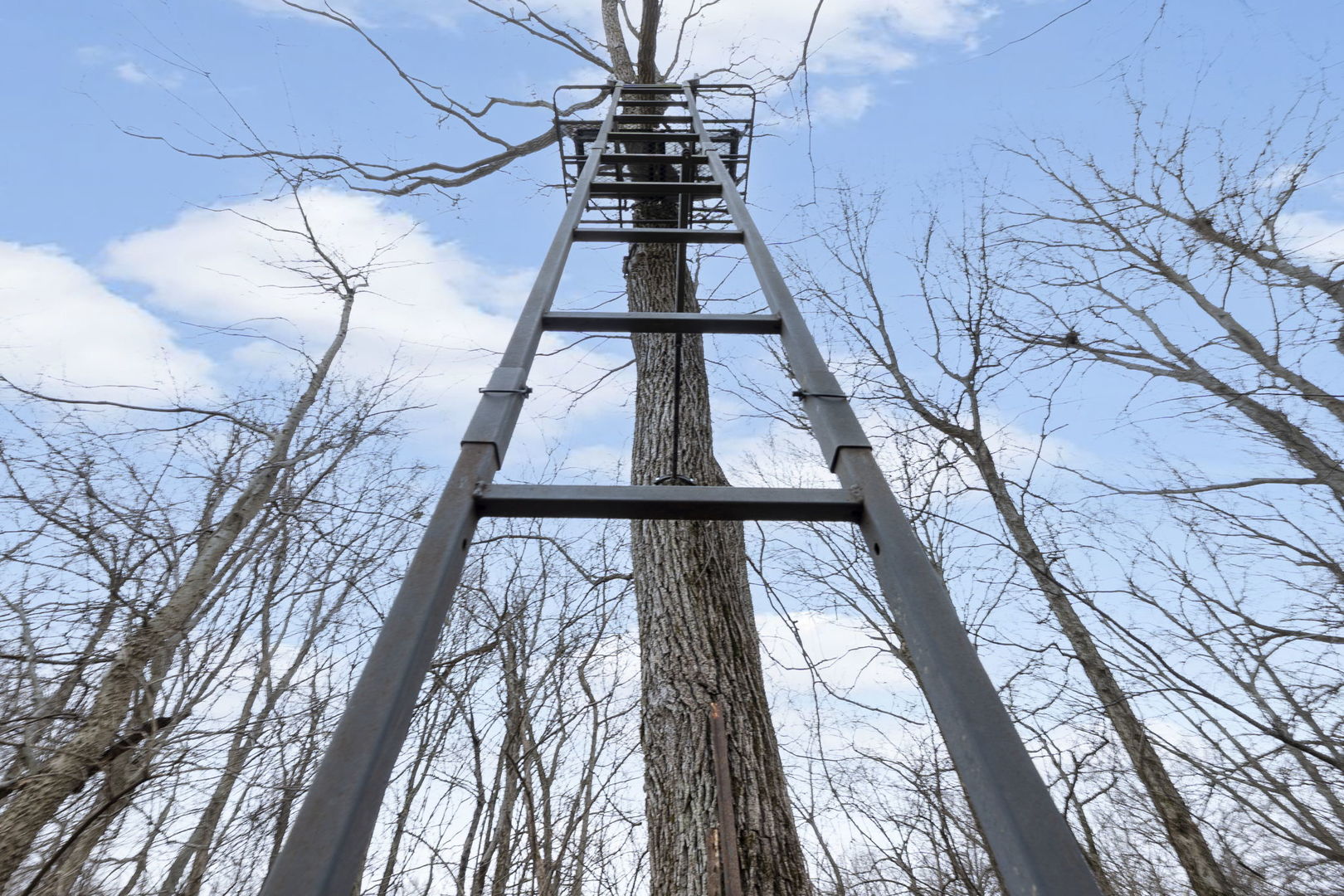 7198 Omega Road Kinmundy, IL 62854 - Photo 58 of 95