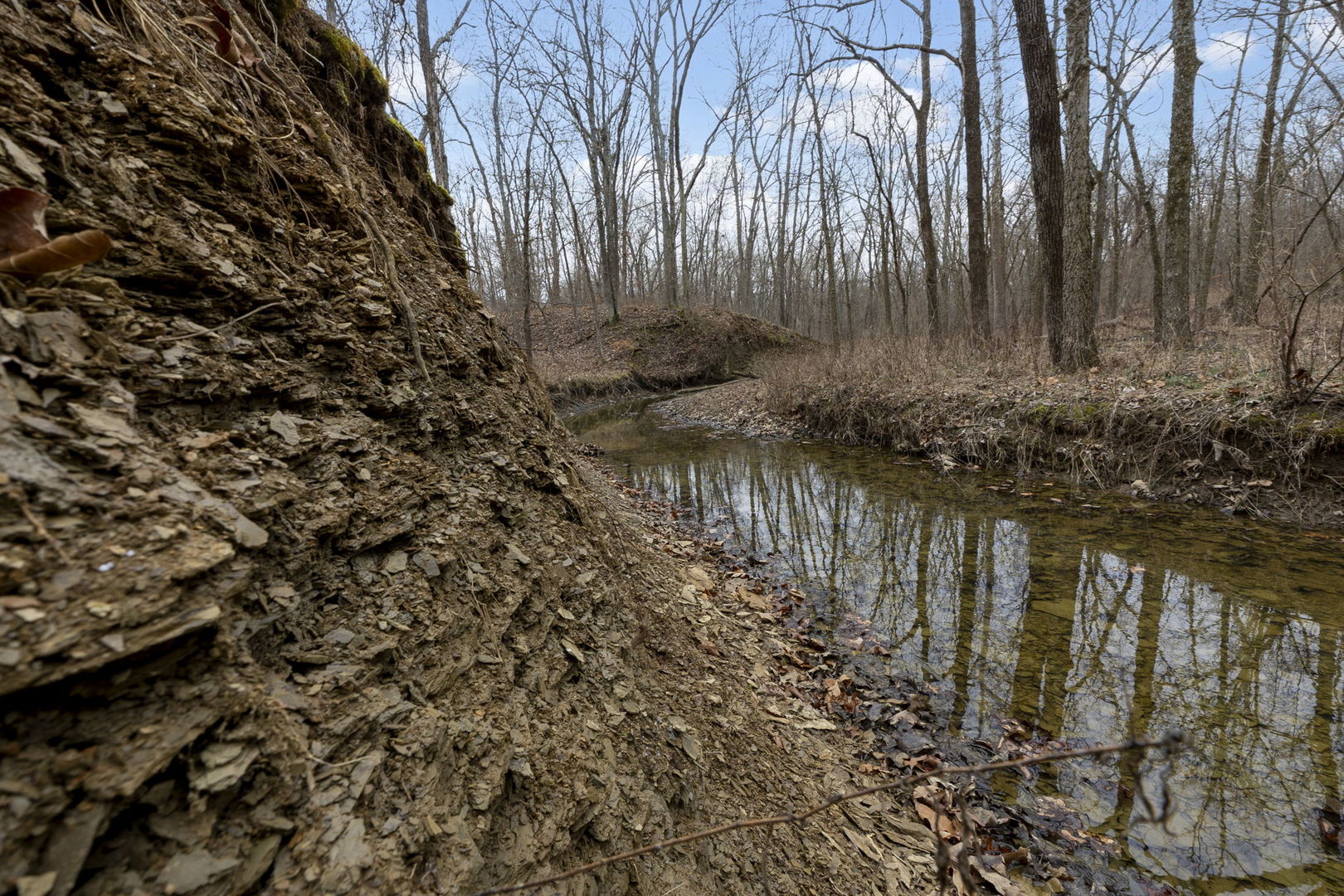 7198 Omega Road Kinmundy, IL 62854 - Photo 62 of 95