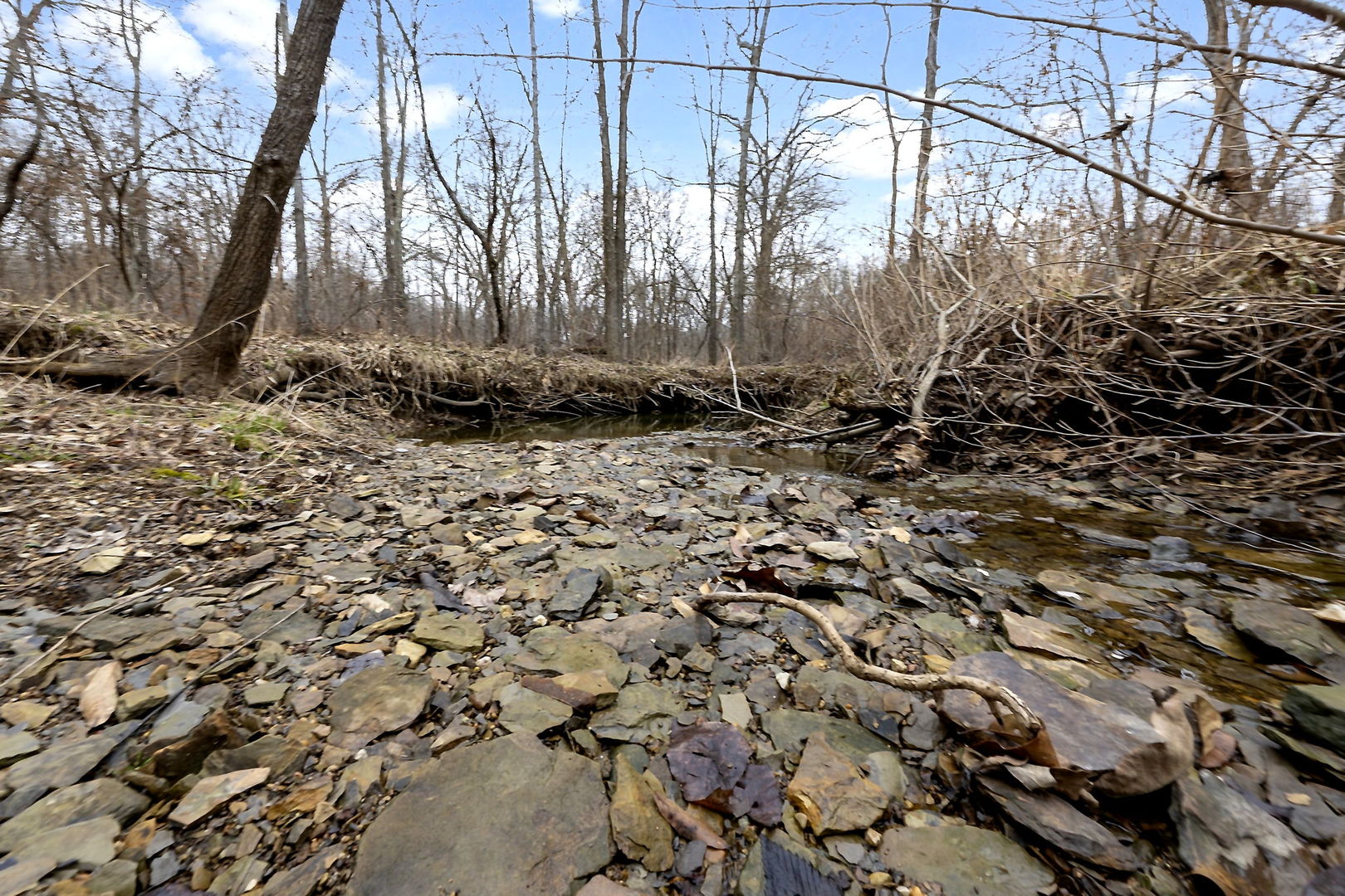 7198 Omega Road Kinmundy, IL 62854 - Photo 64 of 95 a view of a backyard of the house