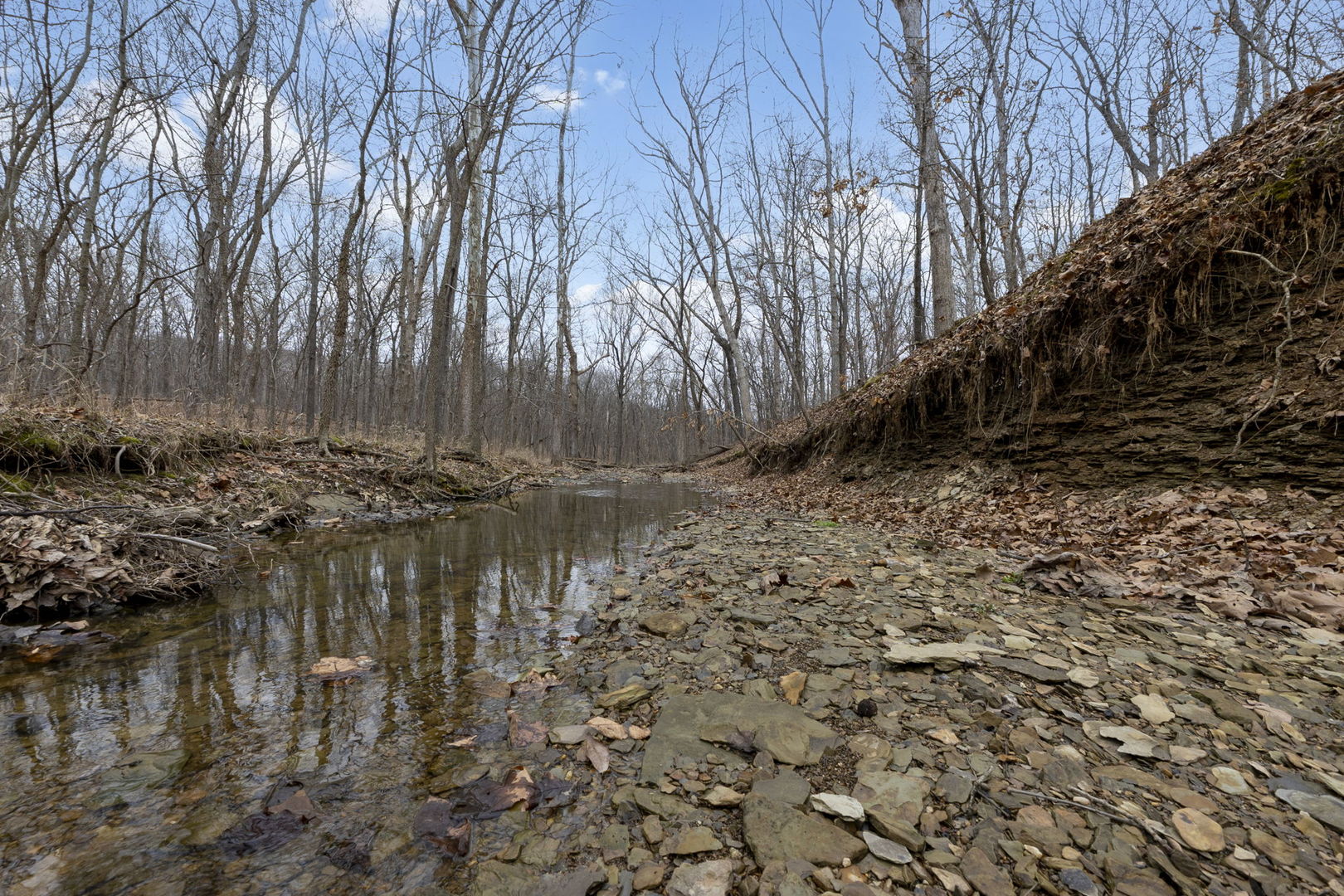 7198 Omega Road Kinmundy, IL 62854 - Photo 65 of 95