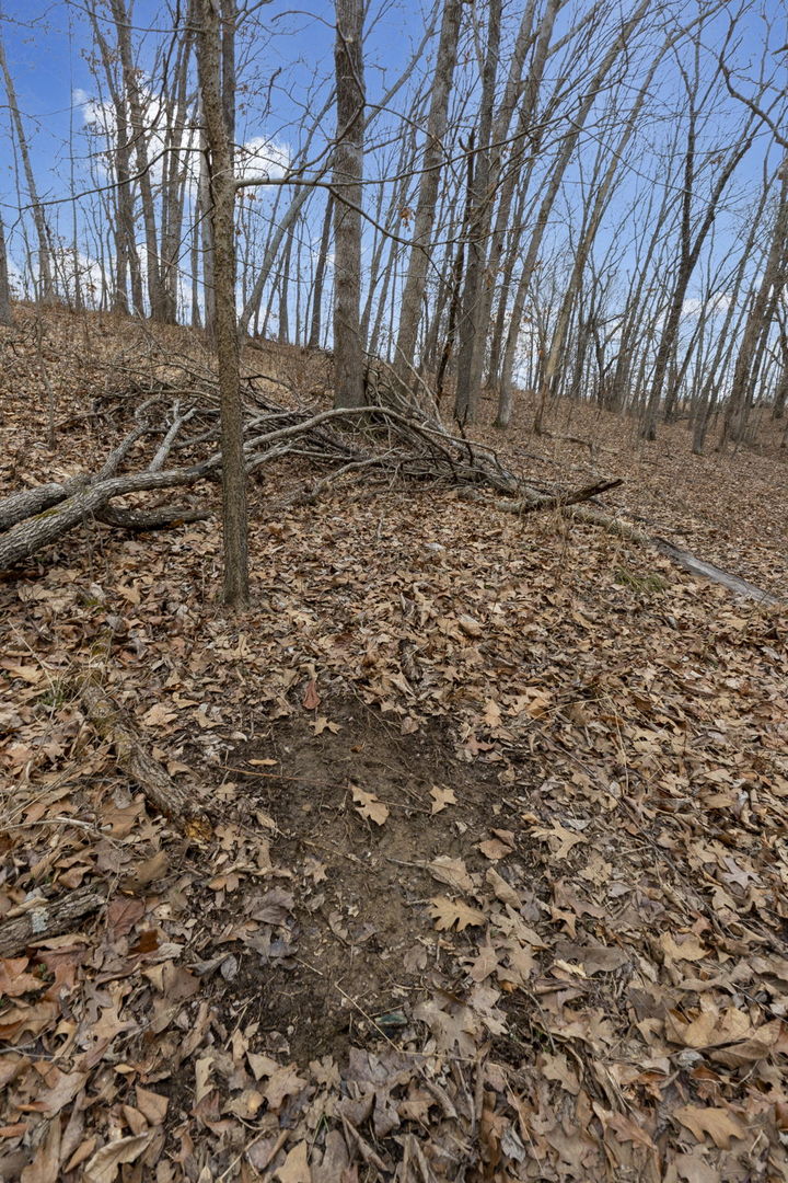 7198 Omega Road Kinmundy, IL 62854 - Photo 66 of 95