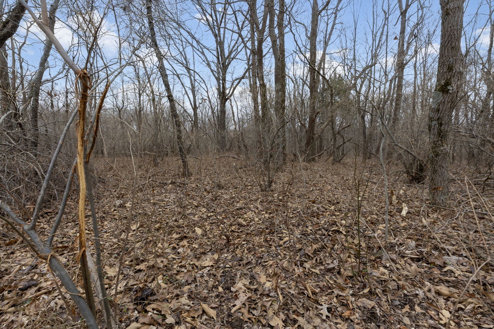 7198 Omega Road Kinmundy, IL 62854 - Photo 71 of 95