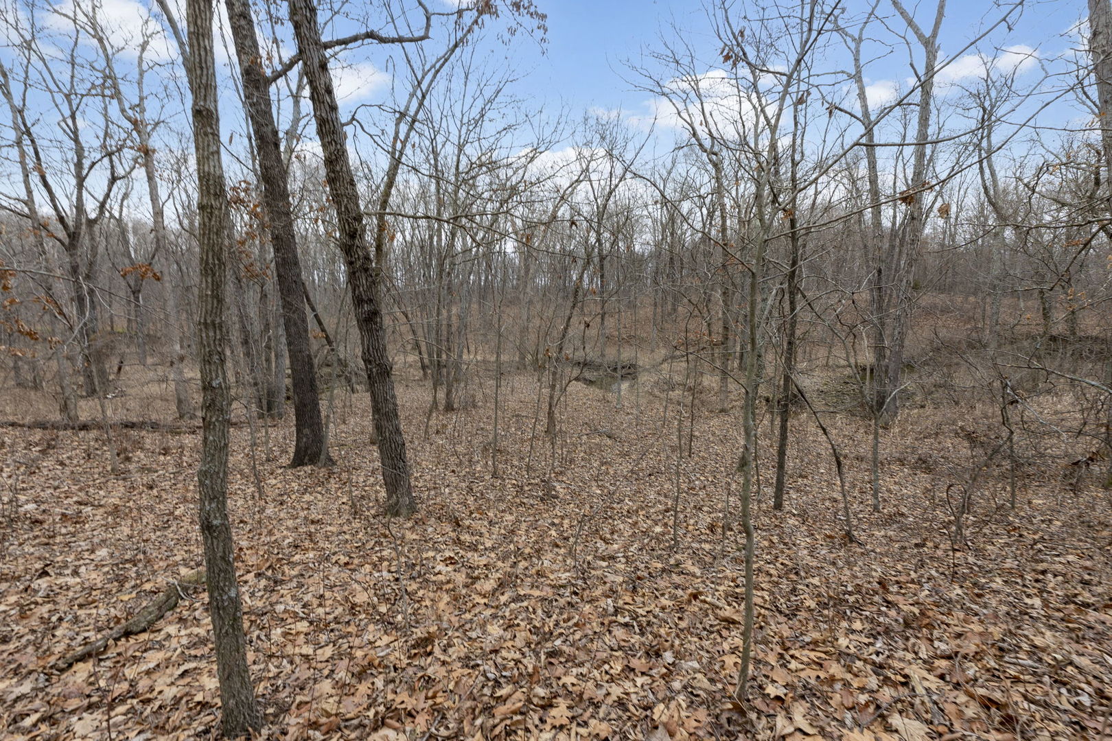 7198 Omega Road Kinmundy, IL 62854 - Photo 86 of 95 a backyard of a house with lots of green space