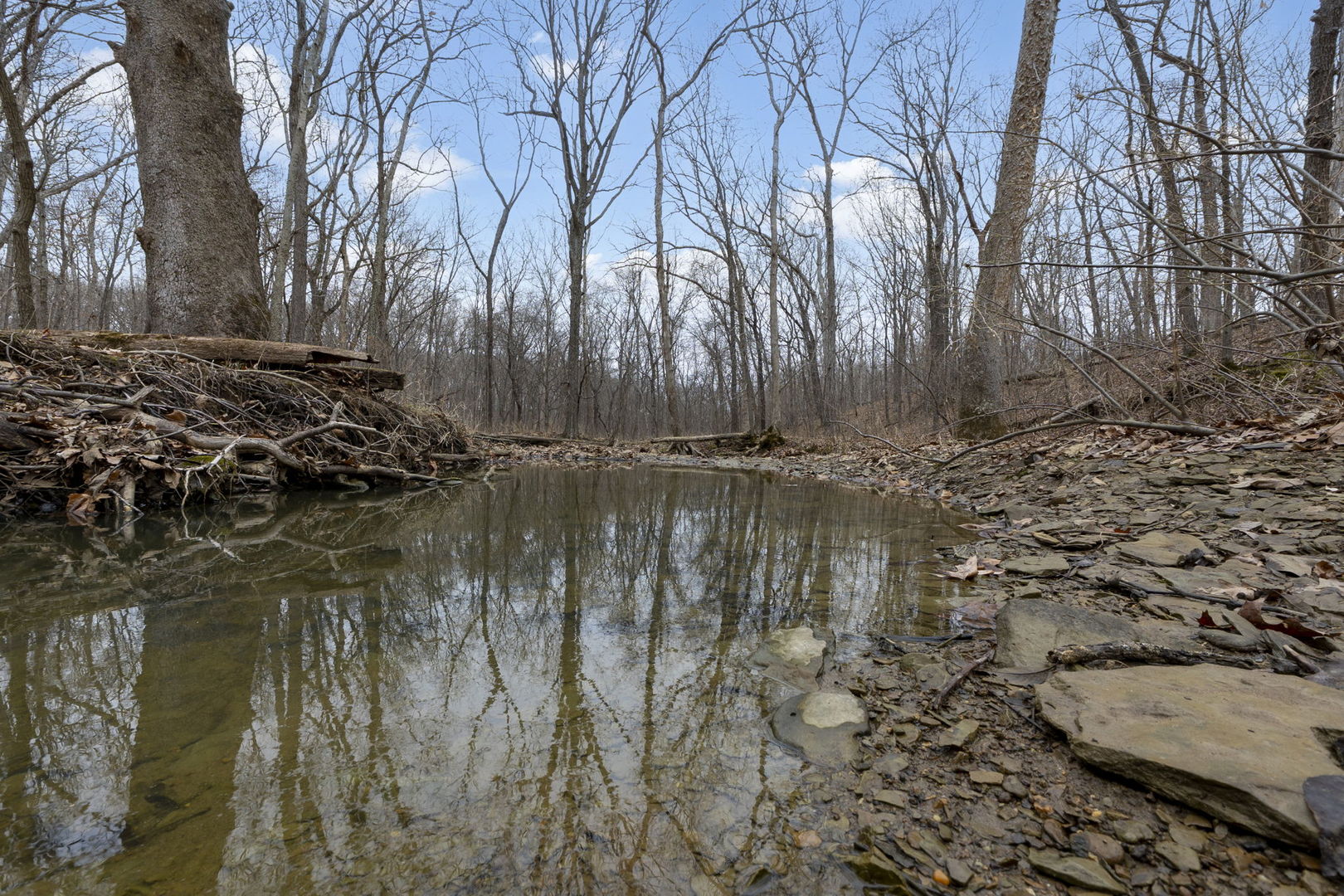 7198 Omega Road Kinmundy, IL 62854 - Photo 88 of 95 a view of lake with a yard