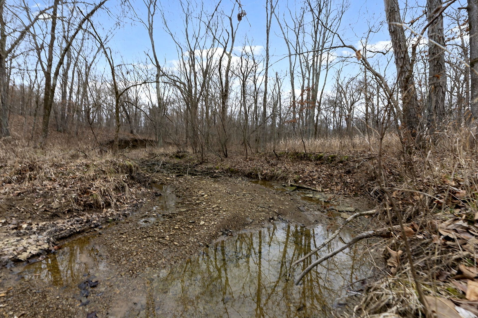 7198 Omega Road Kinmundy, IL 62854 - Photo 90 of 95 a view of a backyard of the house
