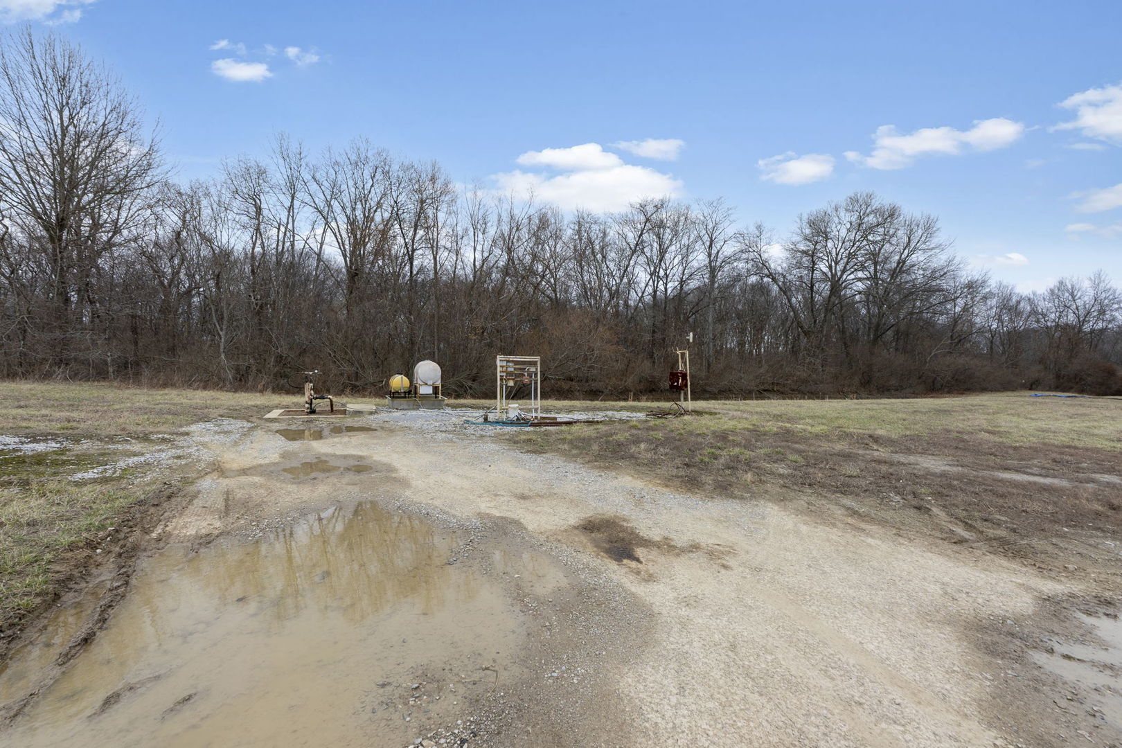 7198 Omega Road Kinmundy, IL 62854 - Photo 93 of 95 a view of outdoor space with trees