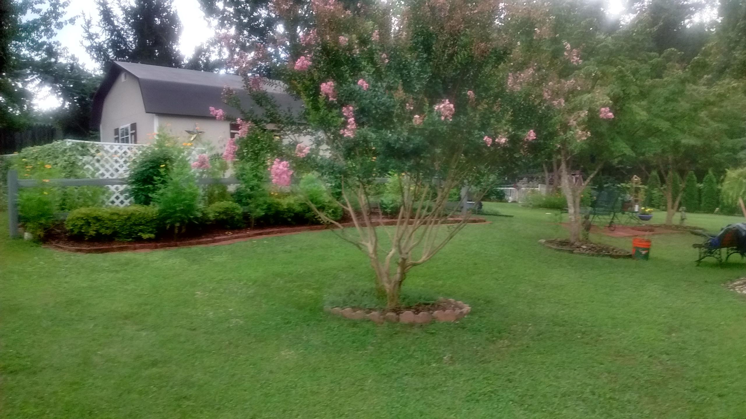 109 Carson Lane Oak Ridge, TN 37830 - Photo 34 of 40 Carson Backyard