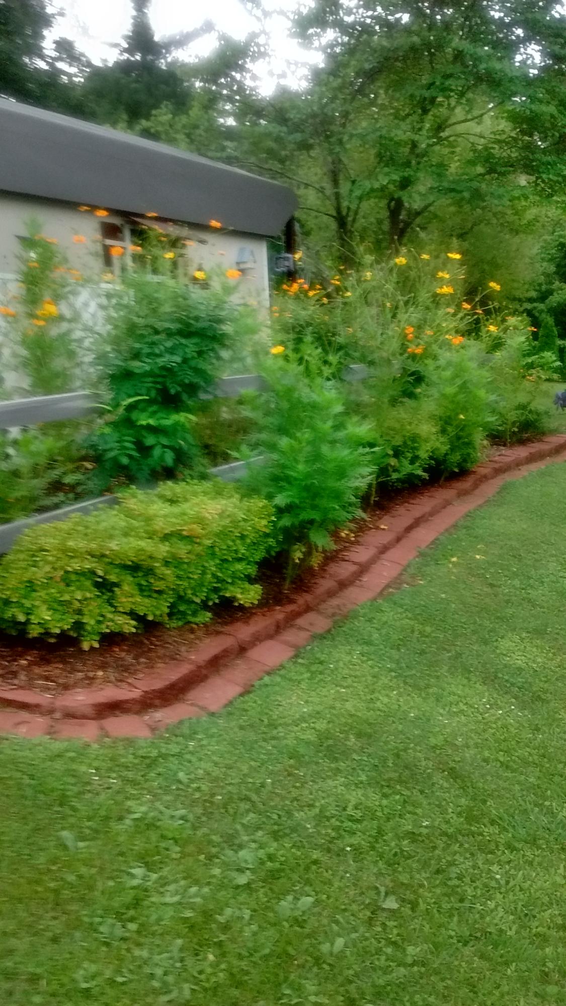 109 Carson Lane Oak Ridge, TN 37830 - Photo 36 of 40 Landscaping beside Backyard Shed