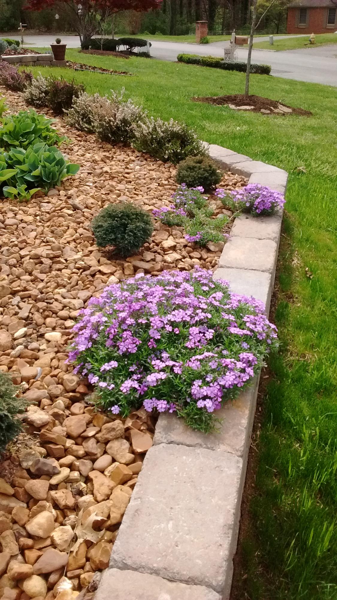 109 Carson Lane Oak Ridge, TN 37830 - Photo 6 of 40 Carson Front Landscaping