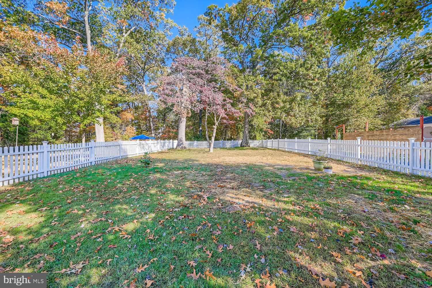 1250 Breitwert Avenue Odenton, MD 21113 - Photo 26 of 32 a view of a yard with a tree