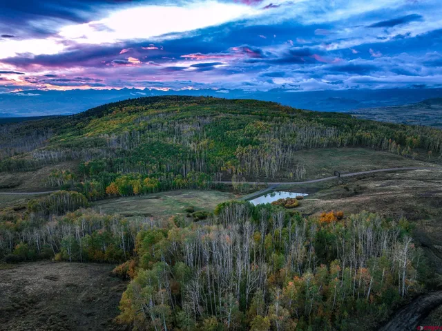 a view of a yard with an outdoor space
