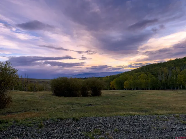 a view of a yard with a space