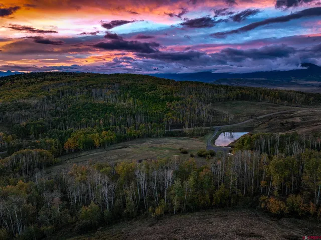 a view of a yard with an outdoor space