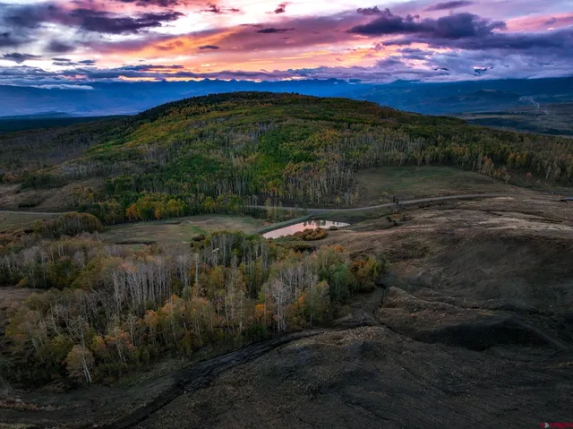 a view of a yard with an outdoor