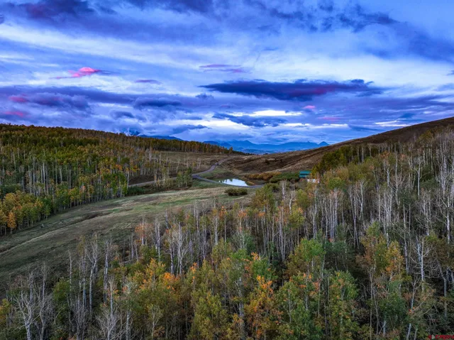 a view of a yard with an outdoor space