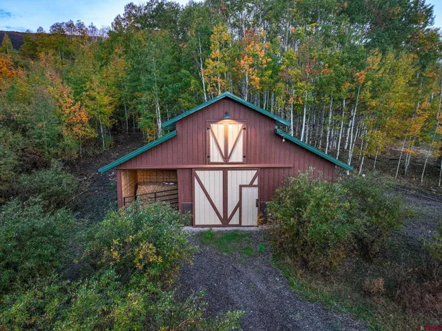 a view of a backyard with plants and large trees
