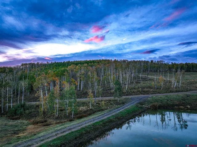 a view of a yard with a lake view
