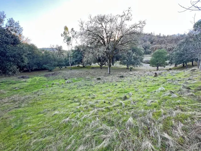 a view of water with a large trees