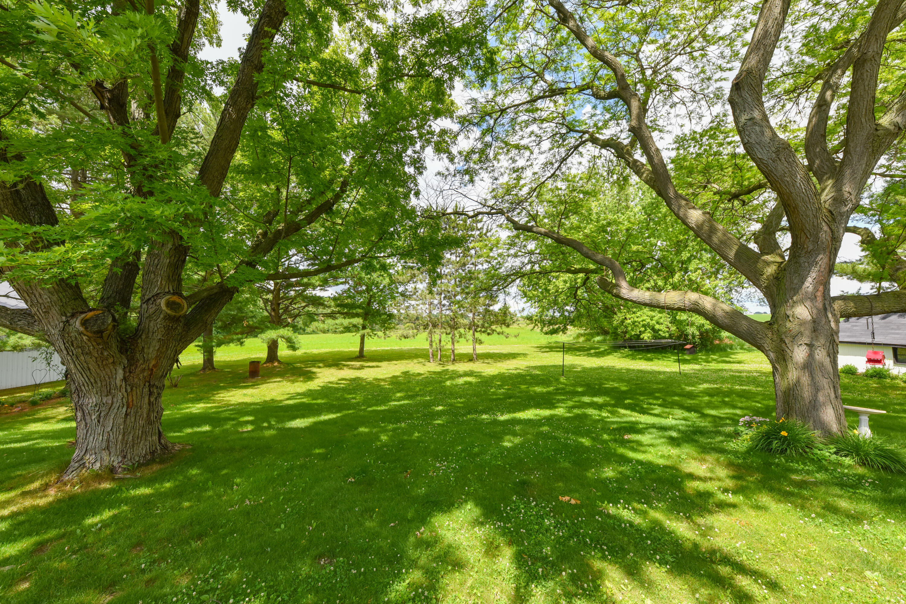 6051 Blueberry Road Addison, WI 53002 - Photo 42 of 52 DSC_0589-2