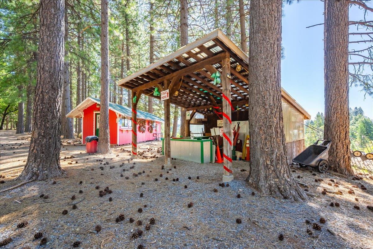 30100 Foresthill Road Foresthill, CA 95631 - Photo 14 of 89