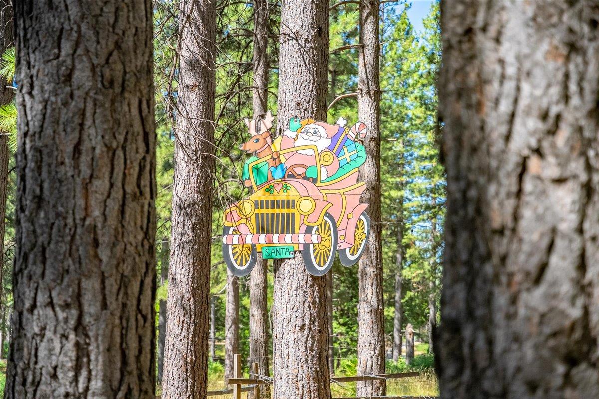 30100 Foresthill Road Foresthill, CA 95631 - Photo 15 of 89