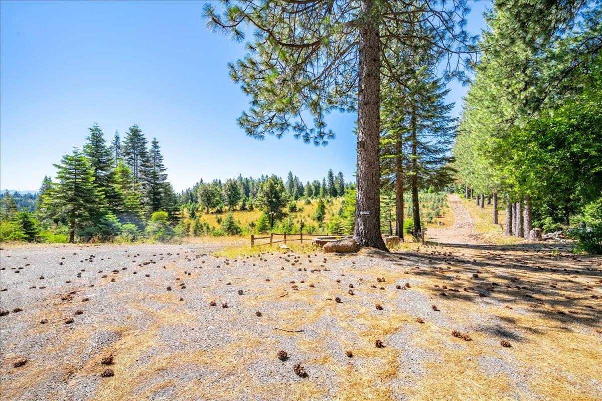 30100 Foresthill Road Foresthill, CA 95631 - Photo 19 of 89