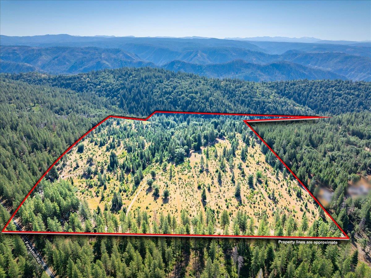 30100 Foresthill Road Foresthill, CA 95631 - Photo 2 of 89 a view of a lush green hillside and a houses