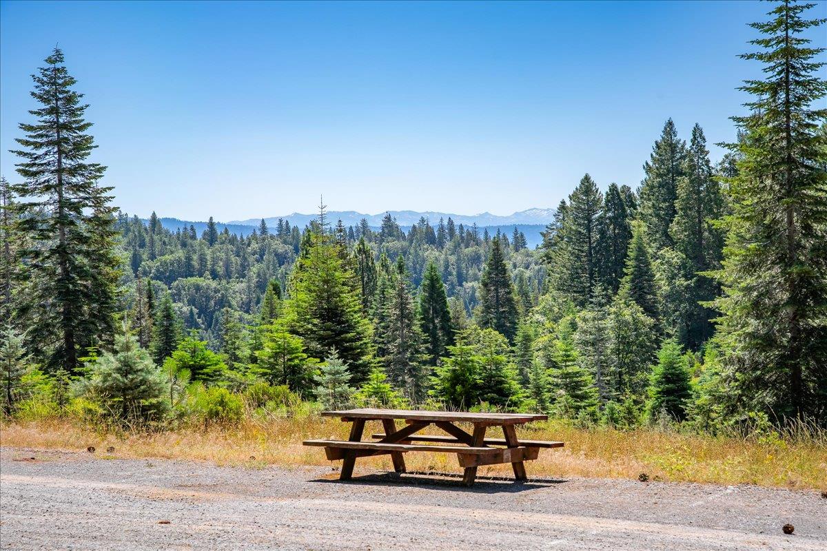 30100 Foresthill Road Foresthill, CA 95631 - Photo 22 of 89 a backyard of a house with large trees and outdoor seating