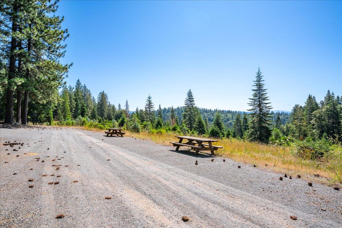 30100 Foresthill Road Foresthill, CA 95631 - Photo 23 of 89