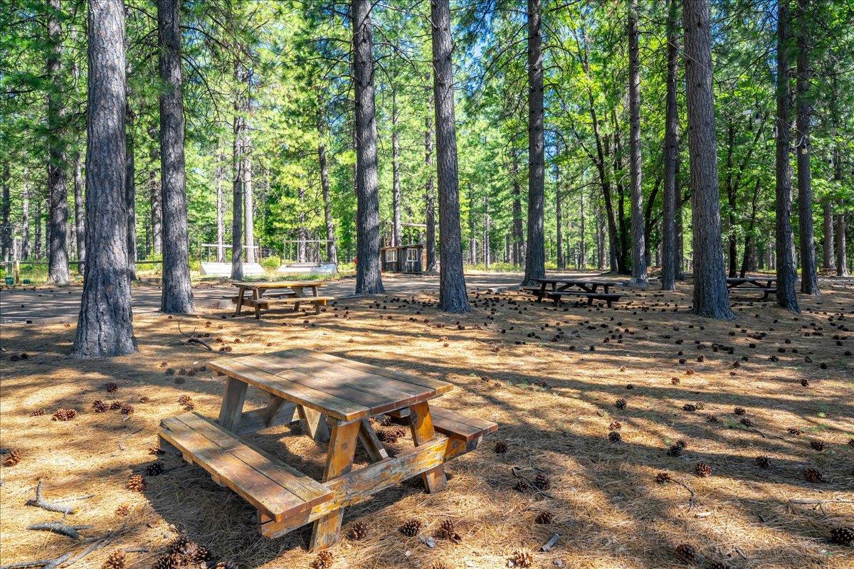 30100 Foresthill Road Foresthill, CA 95631 - Photo 25 of 89 a view of a yard with plants and large trees