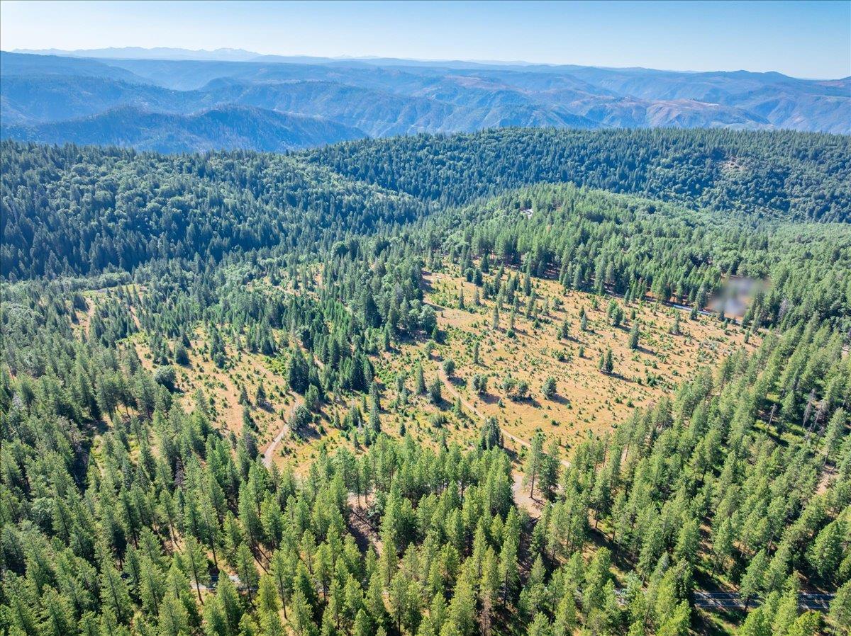 30100 Foresthill Road Foresthill, CA 95631 - Photo 27 of 89 a view of a forest with a mountain