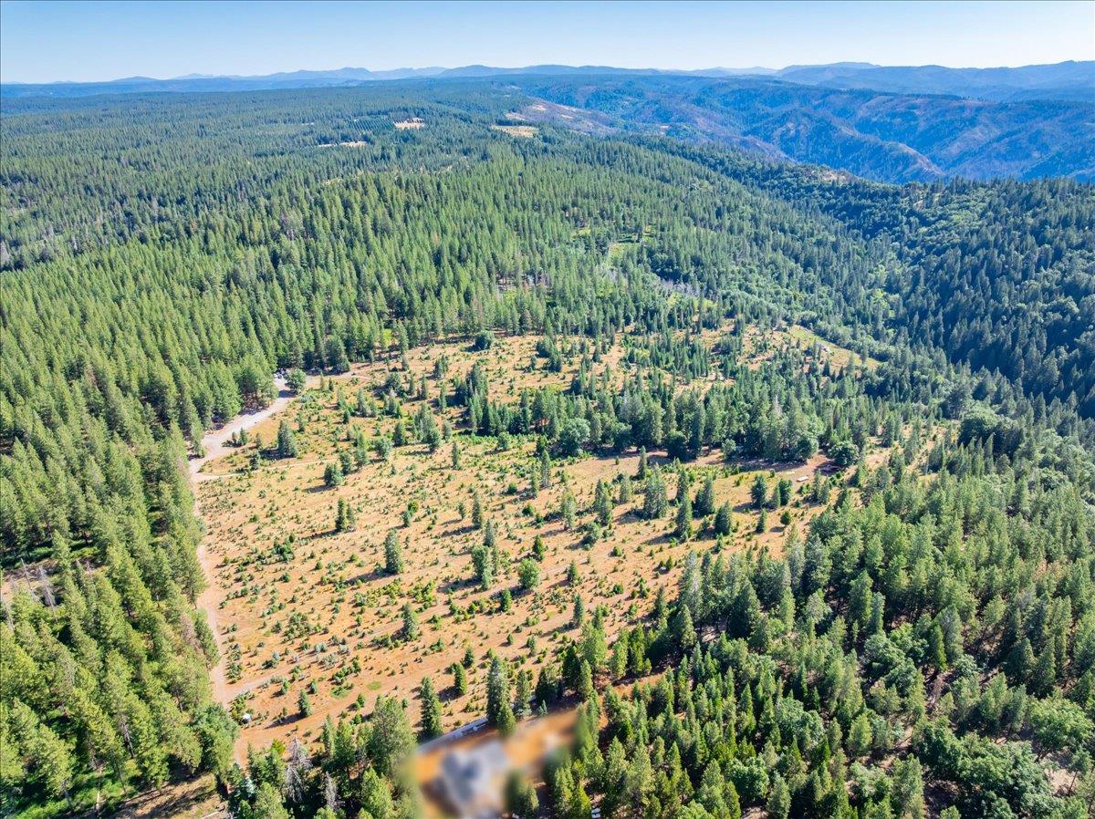 30100 Foresthill Road Foresthill, CA 95631 - Photo 29 of 89 a view of a lush green field with mountains in the background