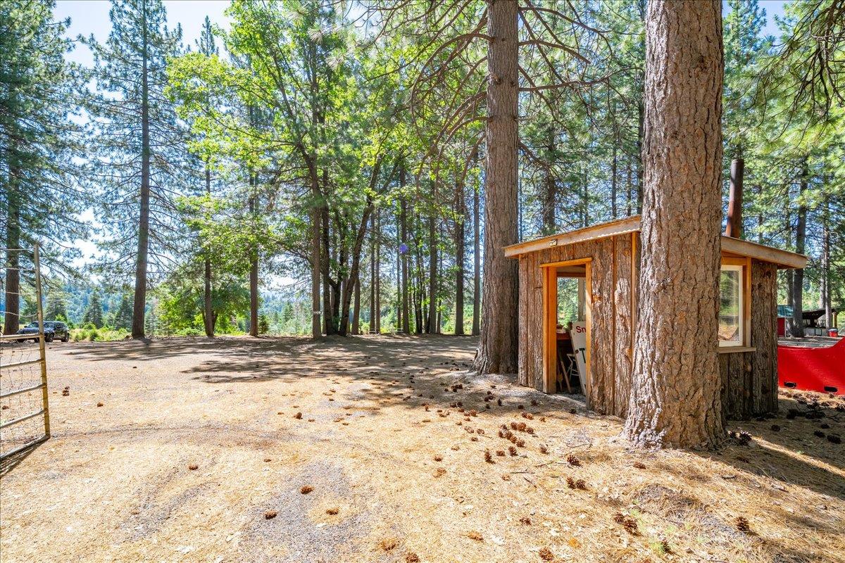 30100 Foresthill Road Foresthill, CA 95631 - Photo 3 of 89 a view of a backyard with large trees and a barn