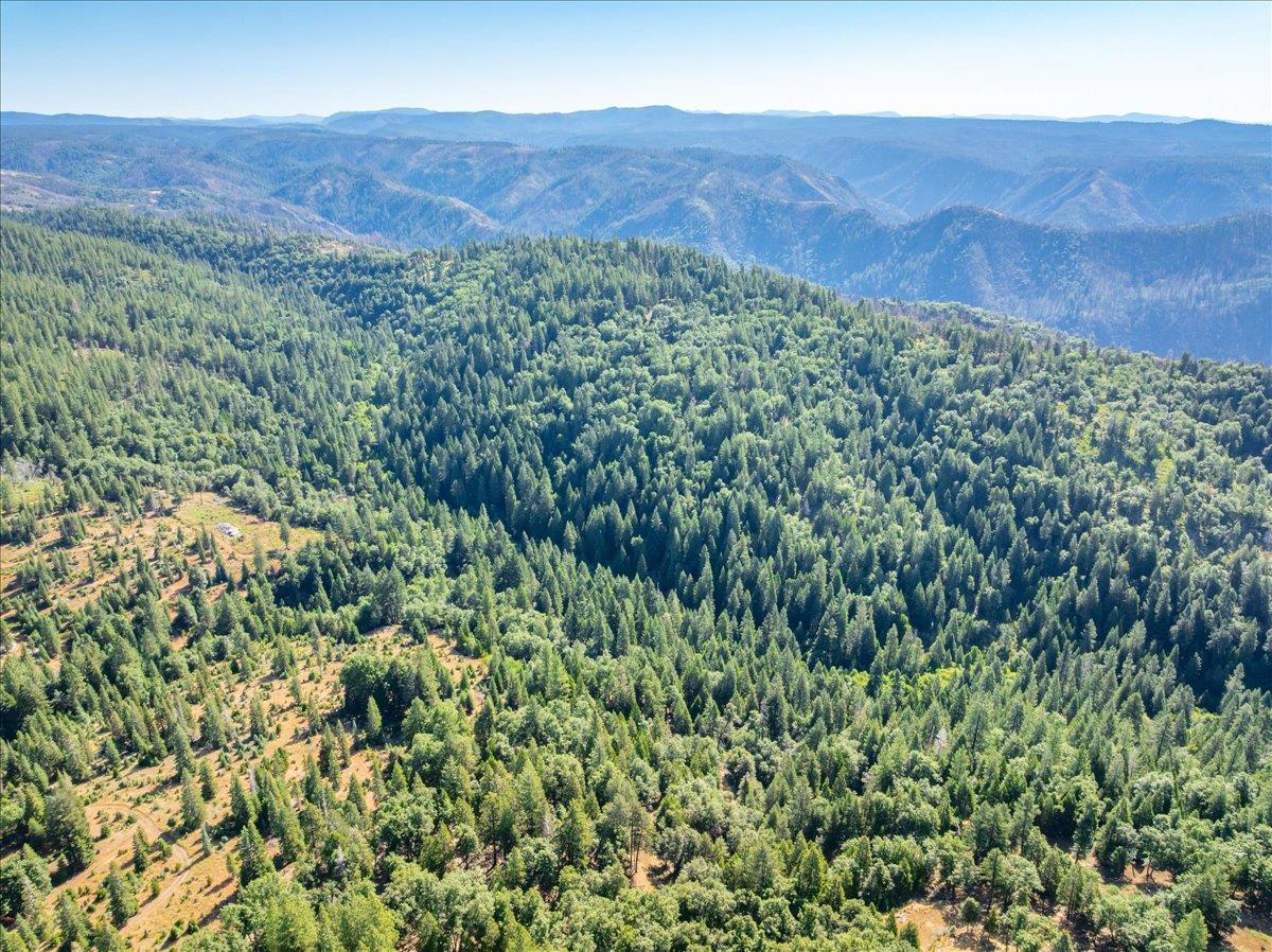 30100 Foresthill Road Foresthill, CA 95631 - Photo 31 of 89