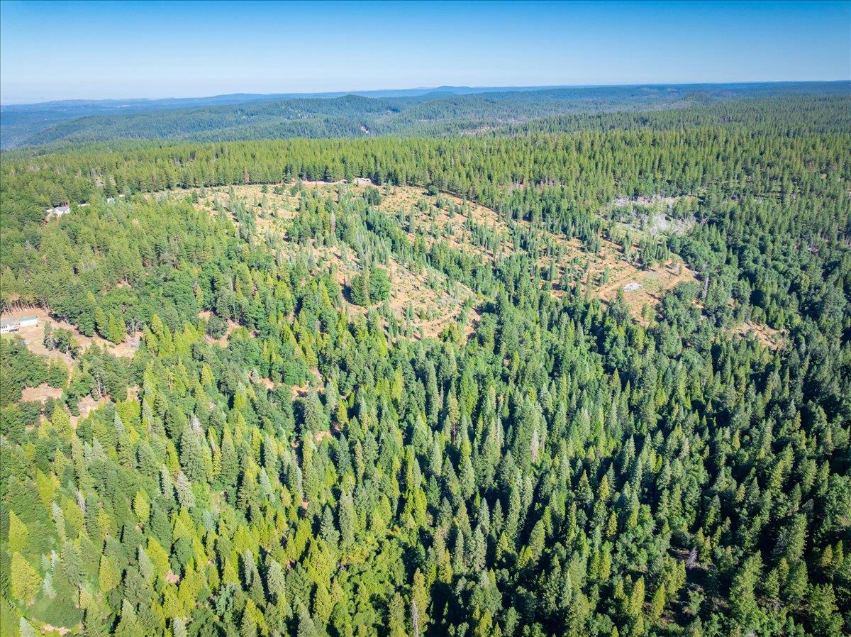 30100 Foresthill Road Foresthill, CA 95631 - Photo 33 of 89 a view of an outdoor space and a lake view