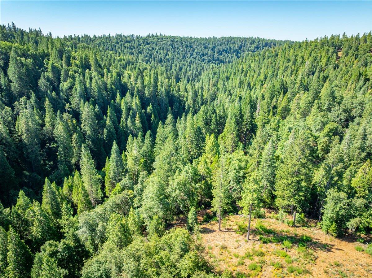 30100 Foresthill Road Foresthill, CA 95631 - Photo 40 of 89