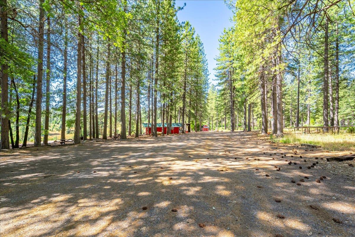 30100 Foresthill Road Foresthill, CA 95631 - Photo 4 of 89