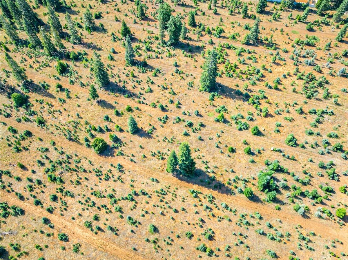 30100 Foresthill Road Foresthill, CA 95631 - Photo 48 of 89