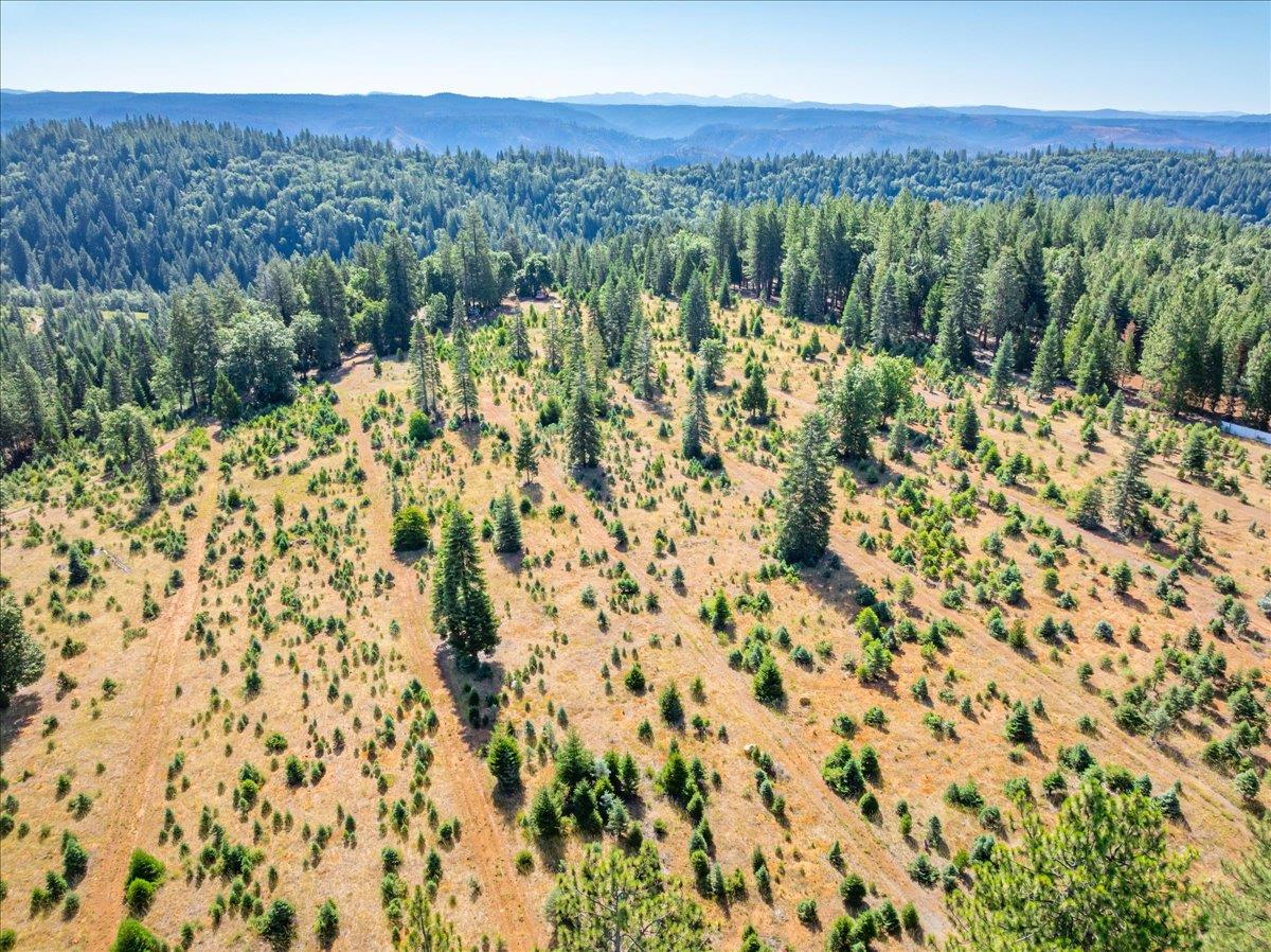 30100 Foresthill Road Foresthill, CA 95631 - Photo 49 of 89 a view of a city with lush green forest