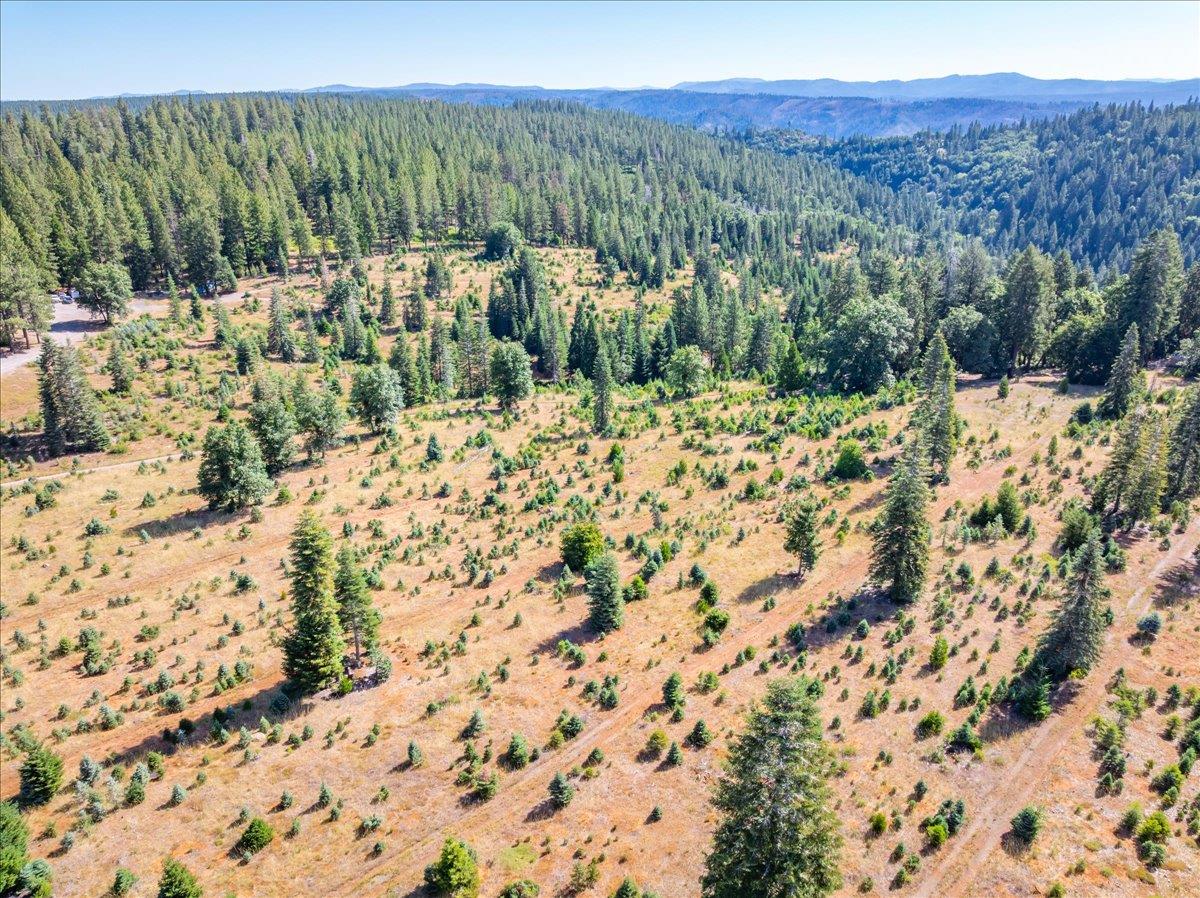 30100 Foresthill Road Foresthill, CA 95631 - Photo 50 of 89